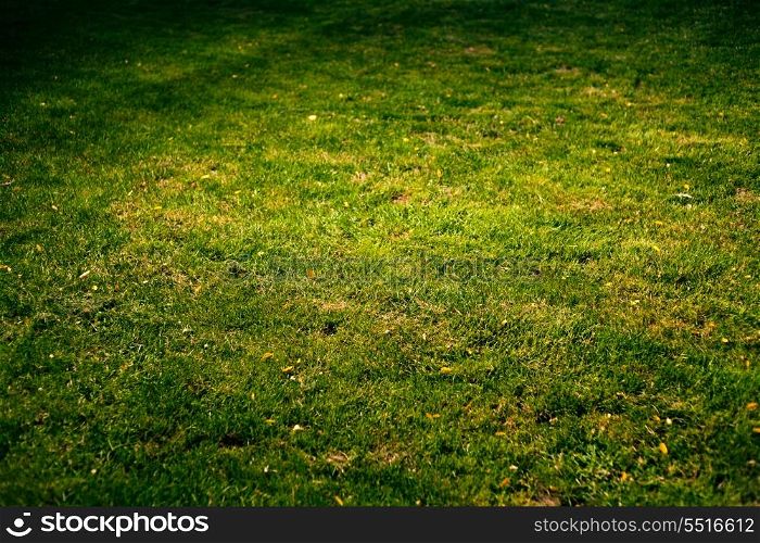 Grass background with vignette angle view