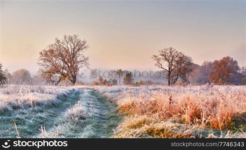 Grass covered with white frost in early morning panorama. Dirt road on field, oak tree with orange leaves. Season change from autumn to winter. Foggy meadow fall sunrise. Belarus. Selective soft focus.