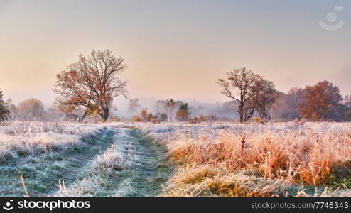 Grass covered with white frost in early morning panorama. Dirt road on field, oak tree with orange leaves. Season change from autumn to winter. Foggy meadow fall sunrise. Belarus. Selective soft focus.