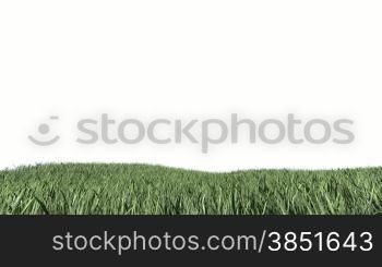 Grass Field against white with Alpha Matte