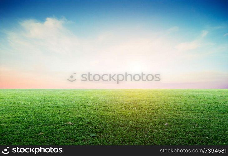 Grass field landscape panoramic. Nature meadow summer