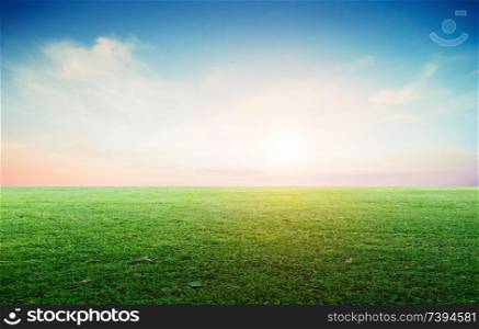 Grass field landscape panoramic. Nature meadow summer