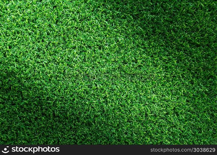 Grass field texture for golf course, soccer field or sports back. Grass field texture for golf course, soccer field or sports background concept design. Artificial grass.