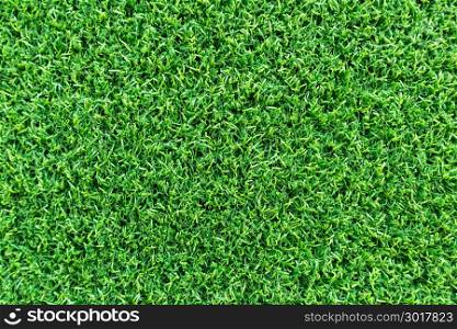 Grass field texture for golf course, soccer field or sports background concept design. Artificial grass.