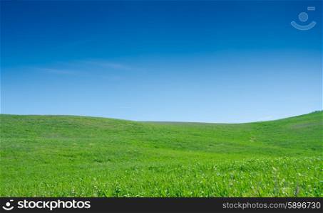 Grass field with blue sky