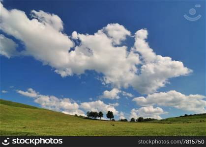 Grass field with clouds on blue sky