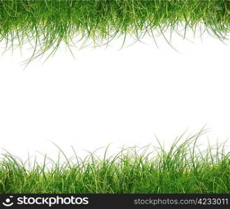 Grass frame isolated on white background. Grass Frame