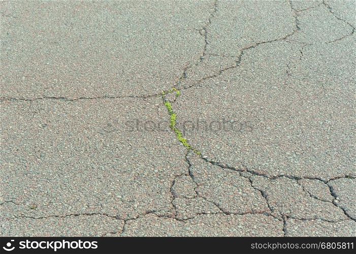 Grass grows from cracks in the road background texture