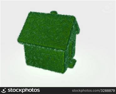 grass-house. 3d