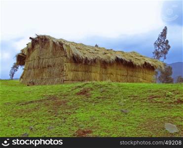 Grass Hut