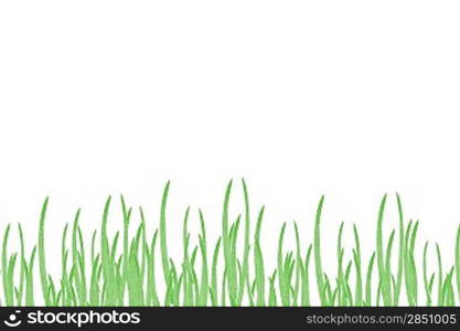 Grass isolated on white