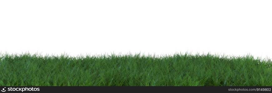 Grass isolated on white background. Meadow, lawn as foreground. Lower frame, border. Cut out graphic design element. 3D rendering. Grass isolated on white background. Meadow, lawn as foreground. Lower frame, border. Cut out graphic design element. 3D rendering.