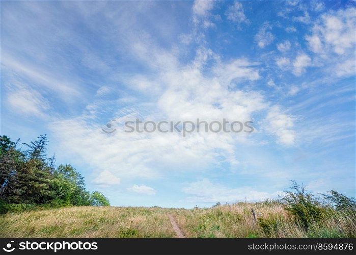 Grass landscape with a small trail on the plains under a blue sky with trees on the left