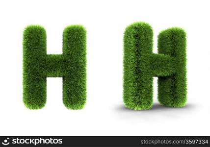 Grass letter h, isolated on white background