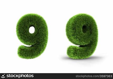 Grass number nine, isolated on white background, 9
