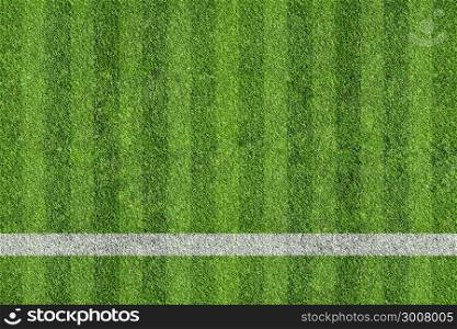grass of sport field