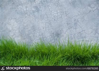 grass on cement wall