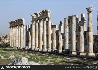 Grass on the street and long line of columns in Apamea, Syria