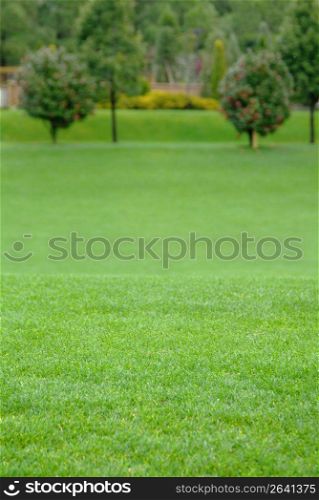 Grass plaza
