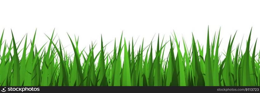 Grass profile view isolated - 3d rendering