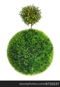 grass sphere and tree
