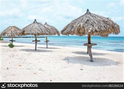 Grass umbrellas at the beach on Aruba island
