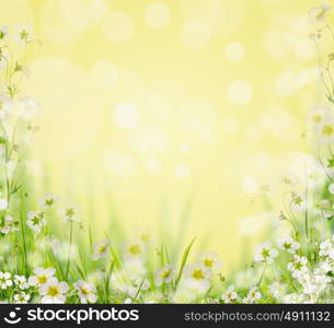 Grass with white flowers blurred nature background, floral border