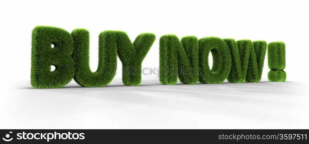 Grass words, buy now, isolated on white background, 3D render