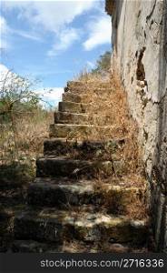 Grassed stone stairs of an abandoned house.