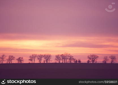 Grassland in mountains