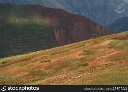 Grassland in Sacred Valley, Cusco Region, Peru