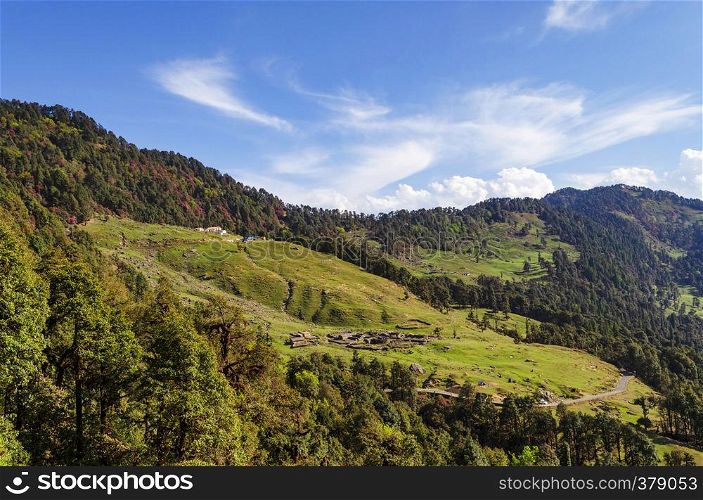 Grassland of Chopta, Garhwal, Uttarakhand, India. Grassland of Chopta, Garhwal, Uttarakhand, India.