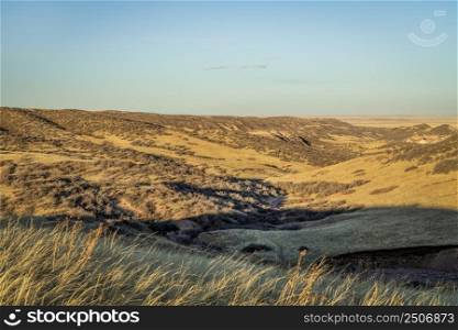 grassland valley  in northern Colorado, early spring scenery of Soapstone Prairie Natural Area near Fort Collins