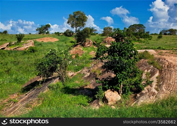 Grassland with rocks, savanna landscape in Africa. Tsavo West, Kenya.