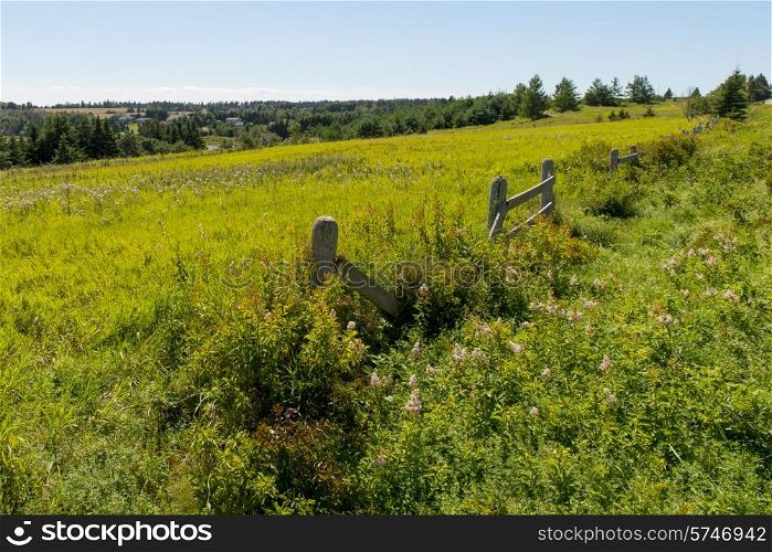 Grassy field, Breadalbane, Prince Edward Island, Canada