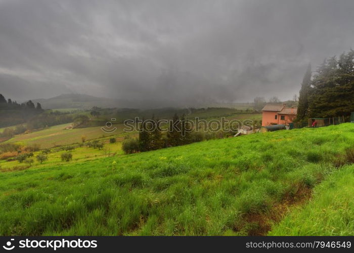 Grassy landscape