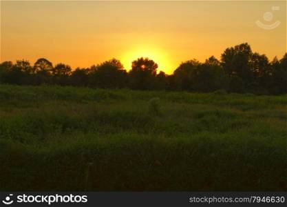 Grassy landscape at sunset