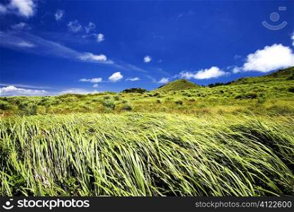 Grassy,Plain,Grassland,Sky,Blue
