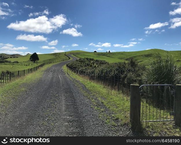 Gravel path through Farmland in New Zealand