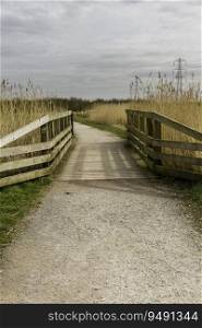Gravel path with wooden footbridge, on sunny day, portrait