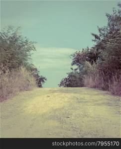 Gravel road between trees in the countryside. Vintage style color.