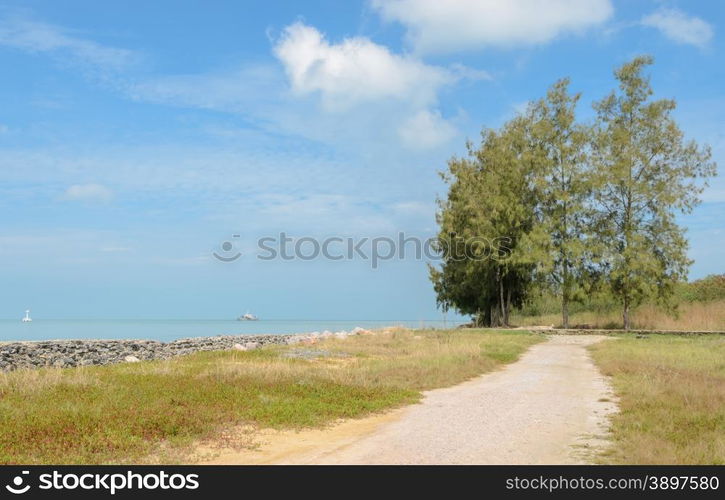 Gravel road by seaside with pine tree on sunny day