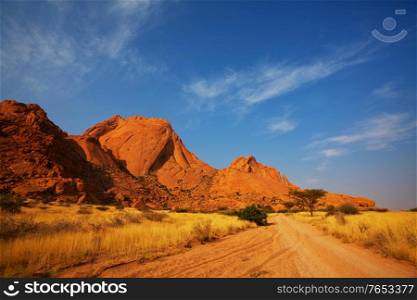 Gravel road in african bush, Namibia