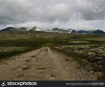 Gravel road in scandinavian landscape