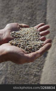 gravel sand in man hands in quarry showing camera