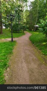 Gravel walking trail through forest, hiking trail, nature walk concept, green trees, plants on either side of pathway. Well maintained footpath through natural surroundings. Gravel path in green summer forest. Hiking trail or nature walk