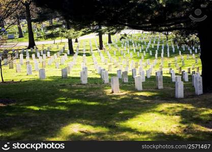 Gravestones in a graveyard, Arlington National Cemetery, Arlington, Virginia, USA