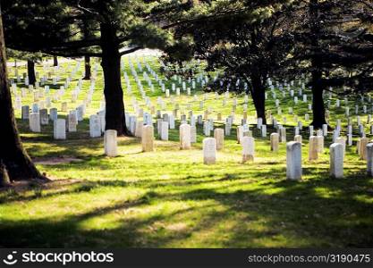 Gravestones in a graveyard, Arlington National Cemetery, Arlington, Virginia, USA