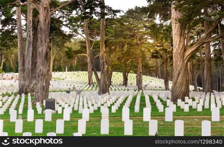 Gravestones on usa national cemetery. Green forest on the background.