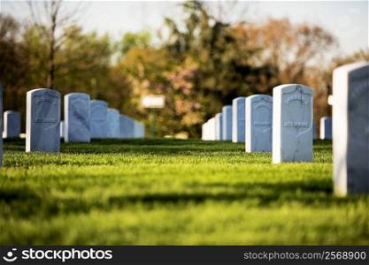 Graveyard of Standard Issue Markers, Washington DC, USA